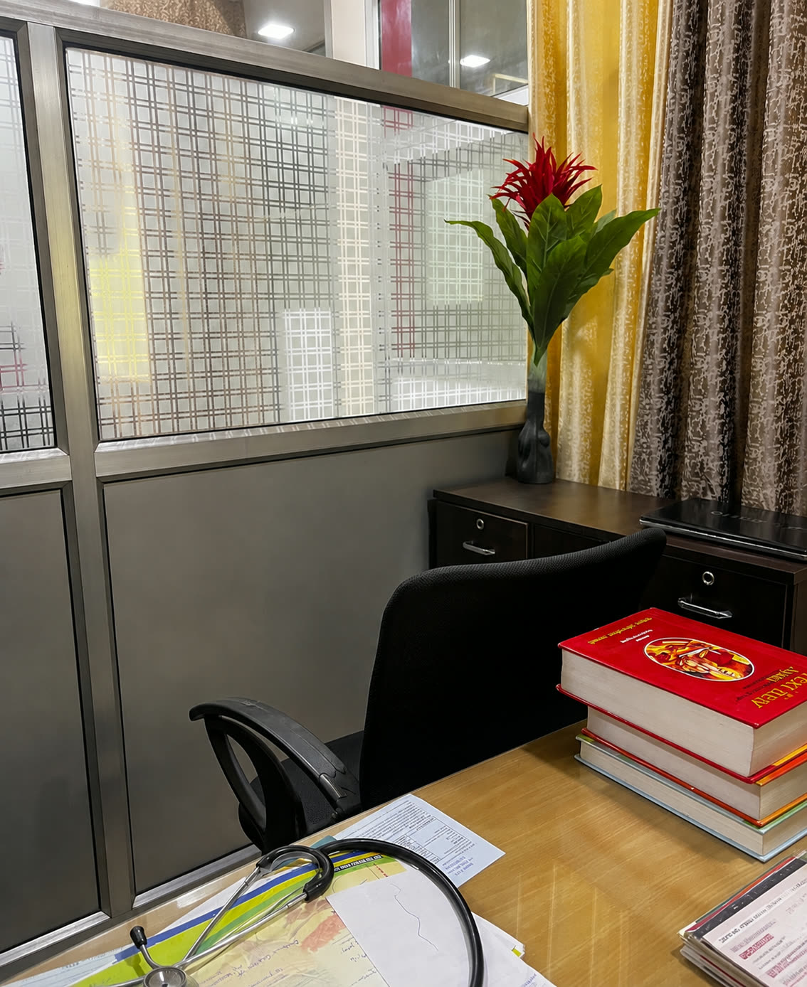 Private consultation with an Ayurvedic physician
